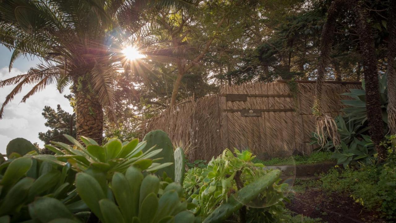Studio Mazo The Glamping Lodero Exterior foto